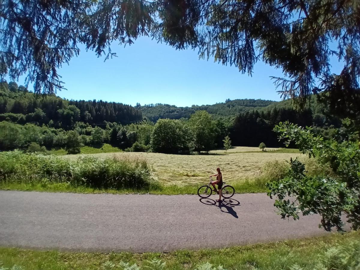 B&B En Face Du Marronnier Cornimont Kültér fotó