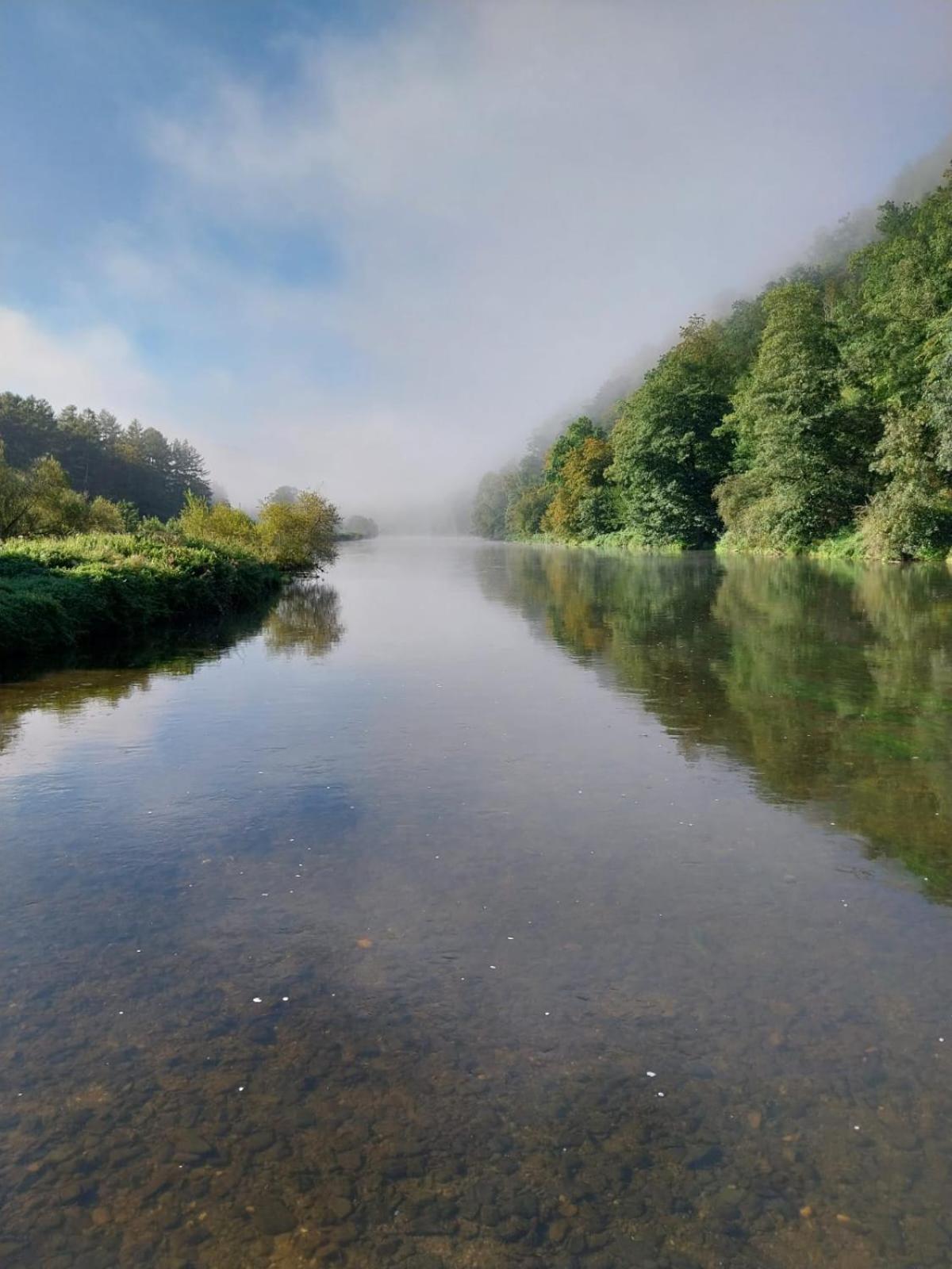 B&B En Face Du Marronnier Cornimont Kültér fotó