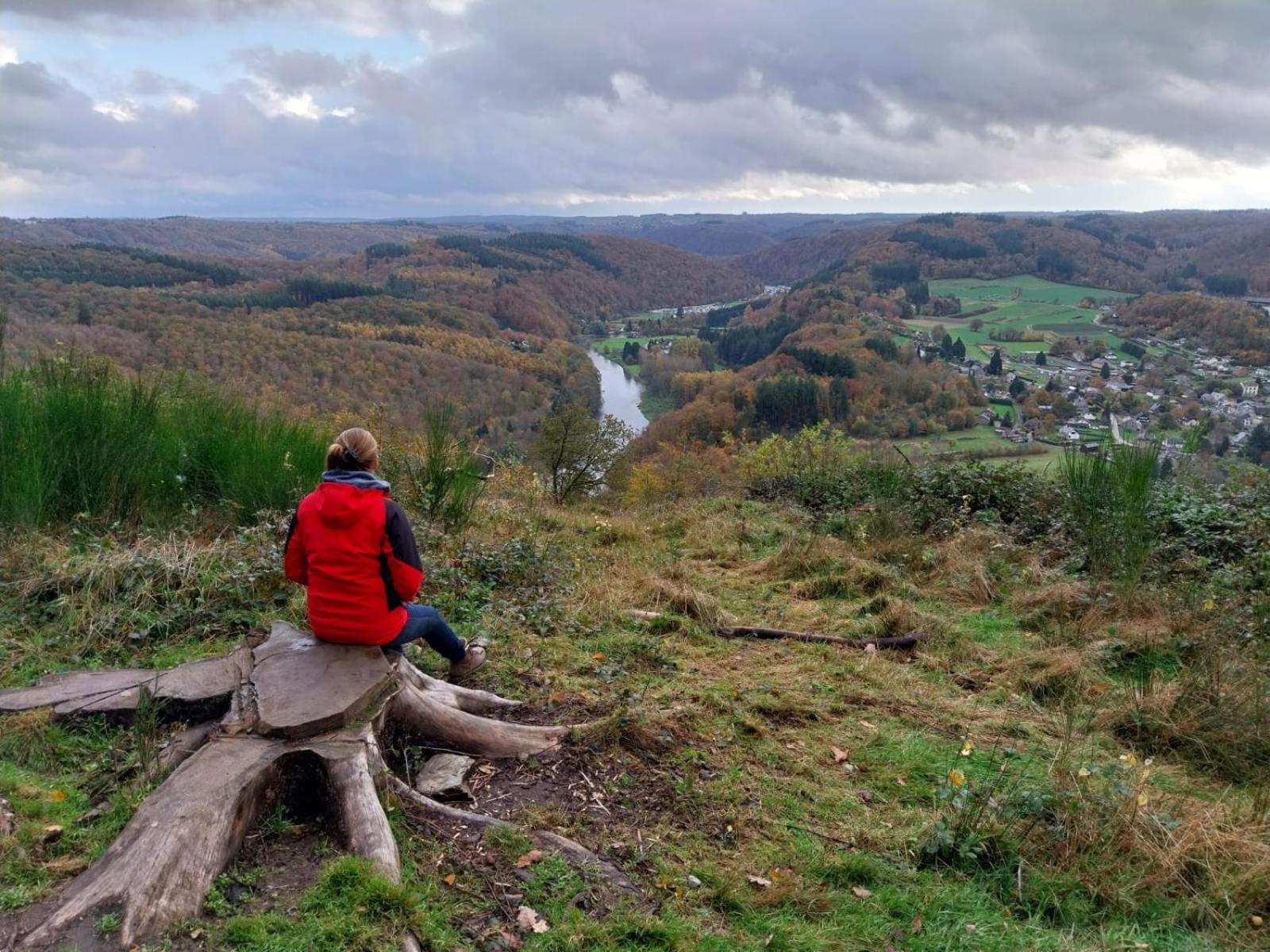 B&B En Face Du Marronnier Cornimont Kültér fotó